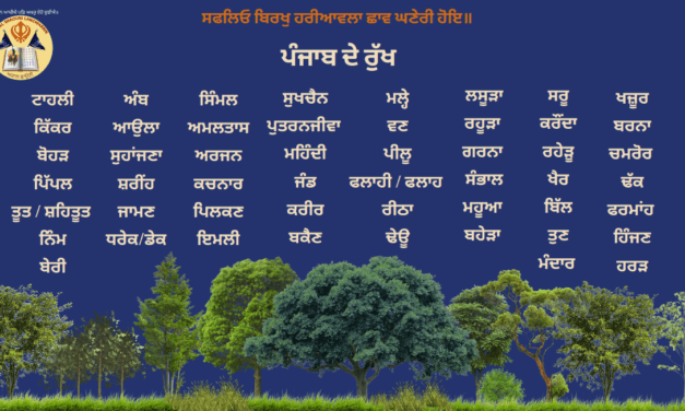 ਪੰਜਾਬ ਦੇ ਰੁੱਖ Trees Of Punjab