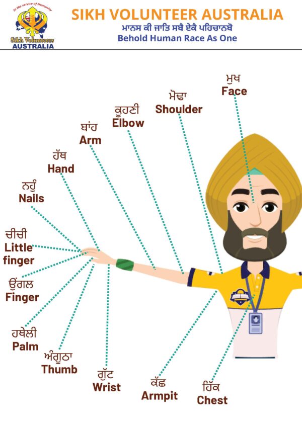 Parts of Body 2