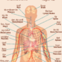 cue-body-4.png