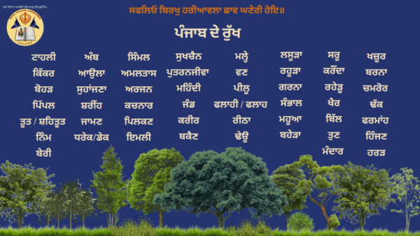 ਪੰਜਾਬ ਦੇ ਰੁੱਖ Trees Of Punjab