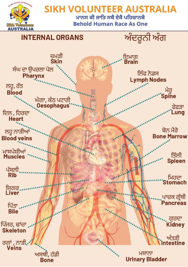 Parts of Body 4