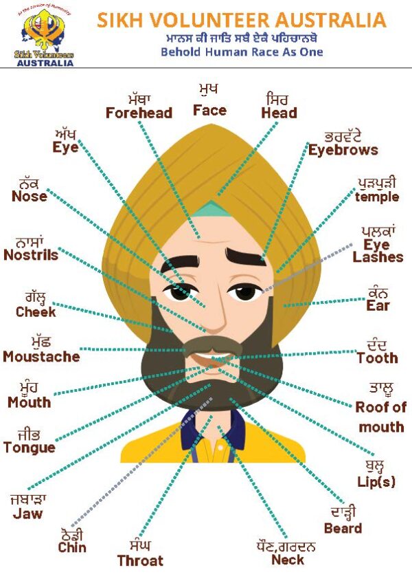 Parts of Body 1