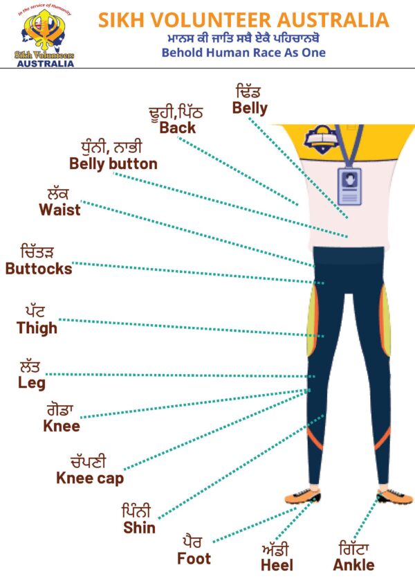 Parts of Body 3